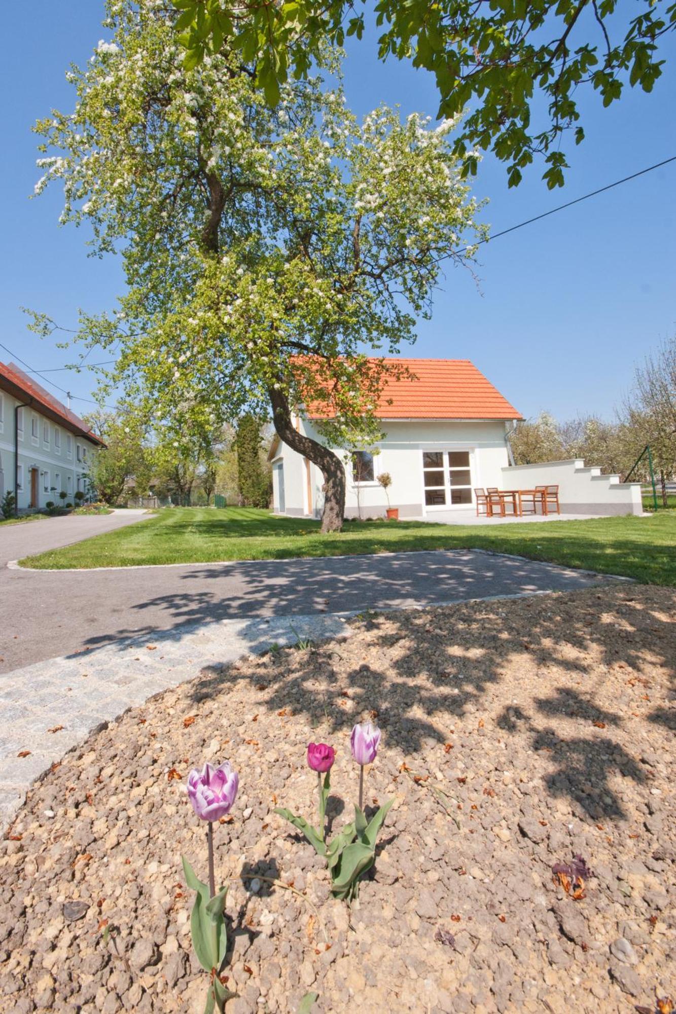 Landhaus Essl Dietach Exterior foto